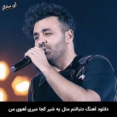دانلود آهنگ دنبالتم مثل یه شیر کجا میری آهوی من