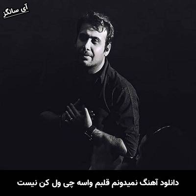 دانلود آهنگ نمیدونم قلبم واسه چی ول کن نیست