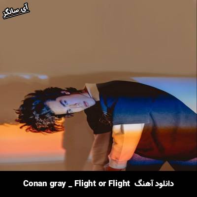 دانلود آهنگ Fight or Flight Conan Gray