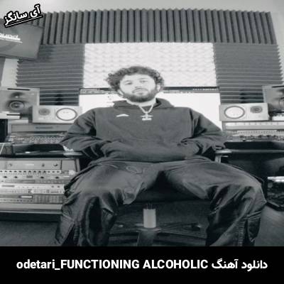 دانلود آهنگ FUNCTIONING ALCOHOLIC odetari