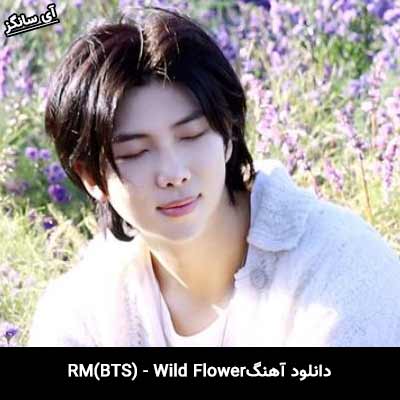 دانلود آهنگ گل وحشی(wild flower) آر ام(RM)