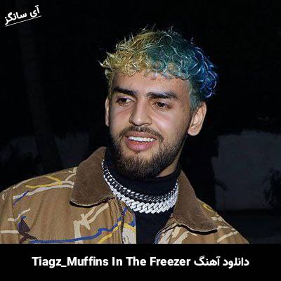 دانلود آهنگ Muffins In The Freezer Tiagz