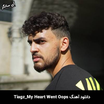 دانلود آهنگ My Heart Went Oops Tiagz