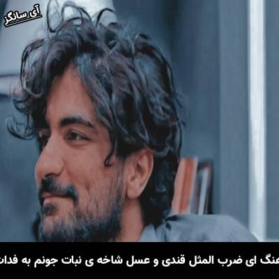 دانلود آهنگ ای ضرب المثل قندی و عسل شاخه ی نبات جونم به فدات از عرفان طهماسبی