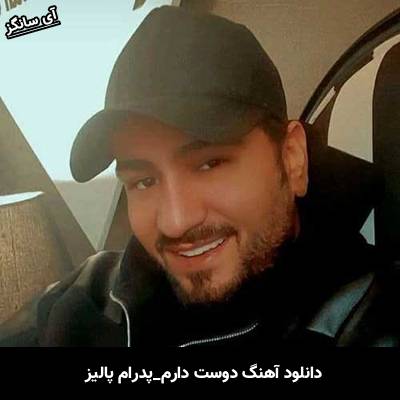 دانلود آهنگ دوست دارم از پدرام پالیز