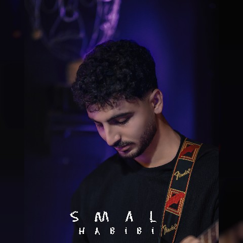 دانلود آهنگ حبیبی از  اسمال