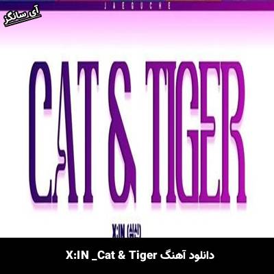 دانلود آهنگ Cat & Tiger از  X:IN