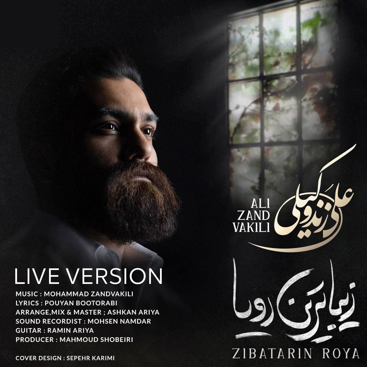 دانلود آهنگ ورژن اجرای زنده زیباترین رویا از علی زند وکیلی