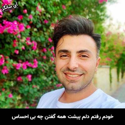 دانلود آهنگ خودم رفتم دلم پیشت همه گفتن چه بی احساس از علیرضا طلیسچی