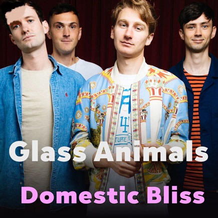 دانلود آهنگ Domestic Bliss Glass Animals