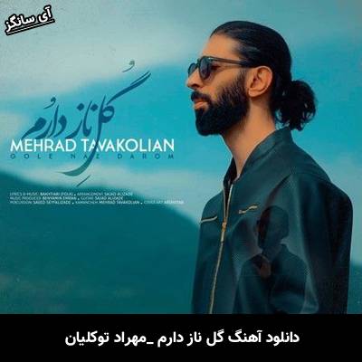 دانلود آهنگ گل ناز دارم از  مهراد توکلیان