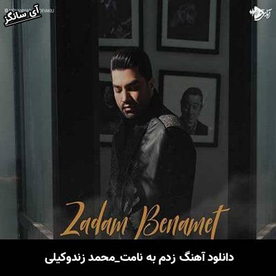 دانلود آهنگ زدم به نامت از محمد زند وکیلی