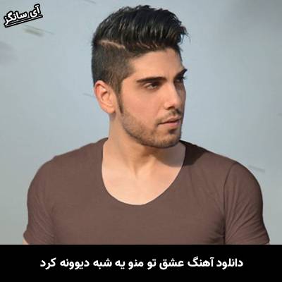 دانلود آهنگ عشق تو منو یه شبه دیوونه کرد از رامین بی باک