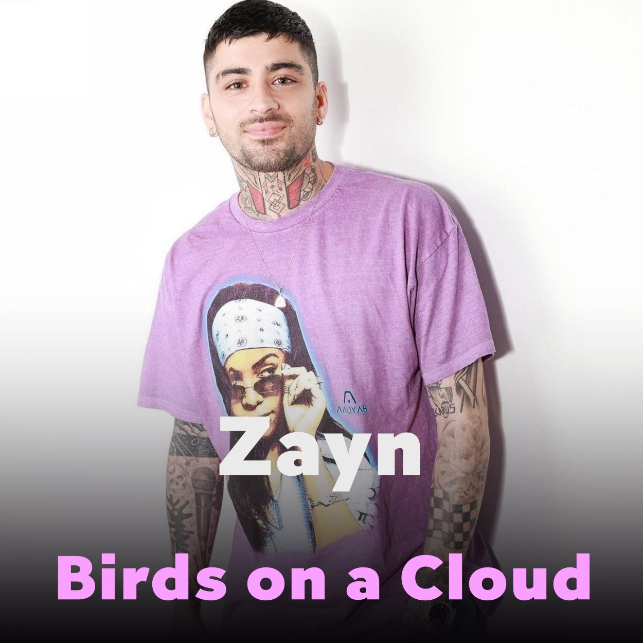 دانلود آهنگ Birds on a Cloud از ZAYN