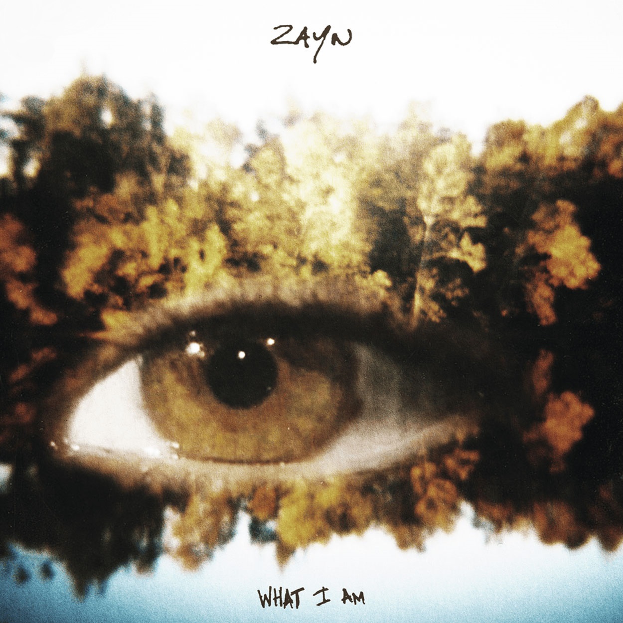 دانلود آهنگ What I Am از ZAYN