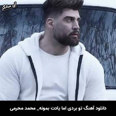 دانلود آهنگ تو بردی اما یادت بمونه خدا کشتی میده به دلی که دریاست از محمد محرمی