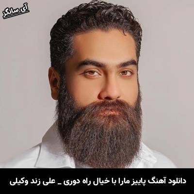 دانلود آهنگ پاییز مارا با خیال راه دوری دلنشین کن از علی زند وکیلی