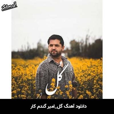 دانلود آهنگ گل از امیر گندم کار