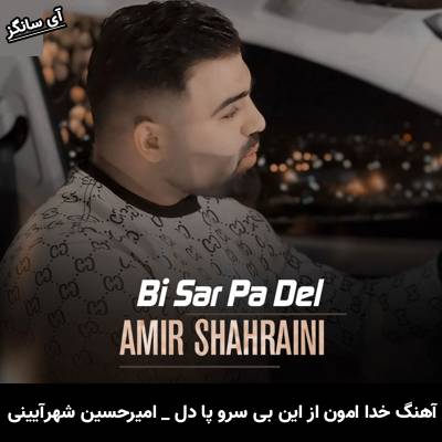 دانلود آهنگ خدا امون از این بی سرو پا دل از امیرحسین شهرآیینی