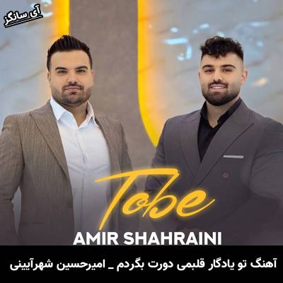 دانلود آهنگ تو یادگار قلبمی دورت بگردم امیرحسین شهرآیینی