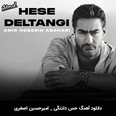دانلود آهنگ حس دلتنگی امیرحسین اصغری