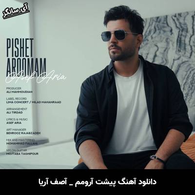دانلود آهنگ پیشت آرومم از آصف آریا