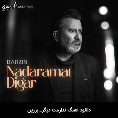 دانلود آهنگ ندارمت دیگر از برزین