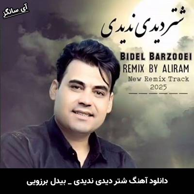 دانلود آهنگ شتر دیدی ندیدی از بیدل برزویی
