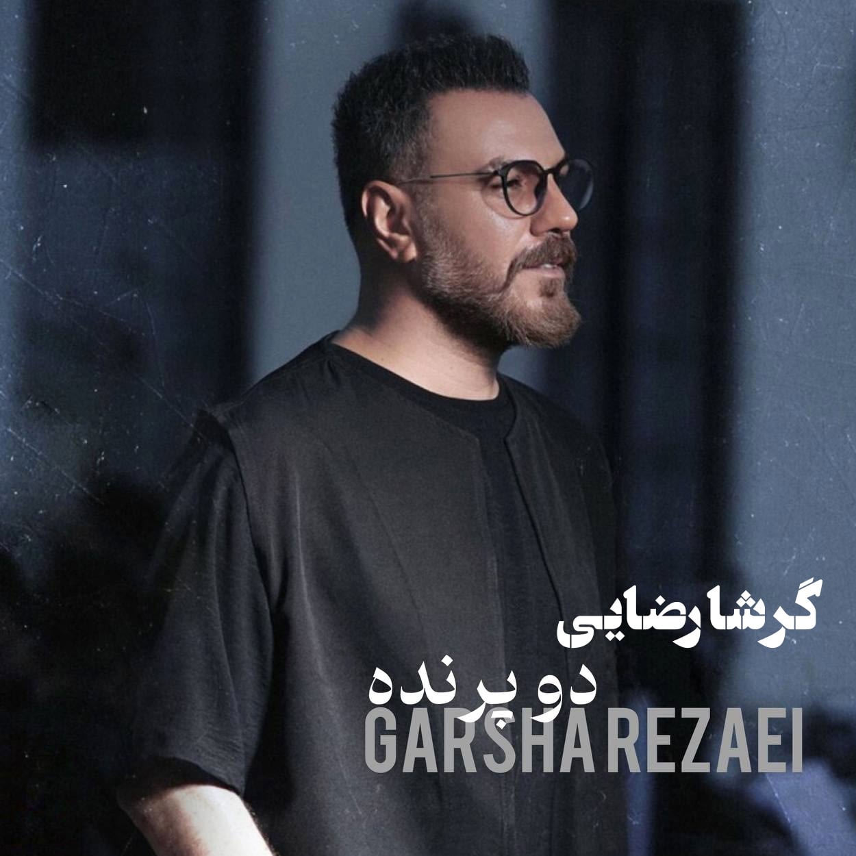دانلود آهنگ دو پرنده گرشا رضایی