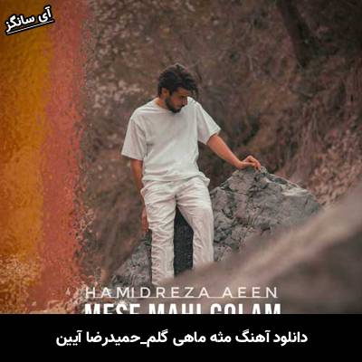 دانلود آهنگ مثه ماهی گلم از حمیدرضا آیین