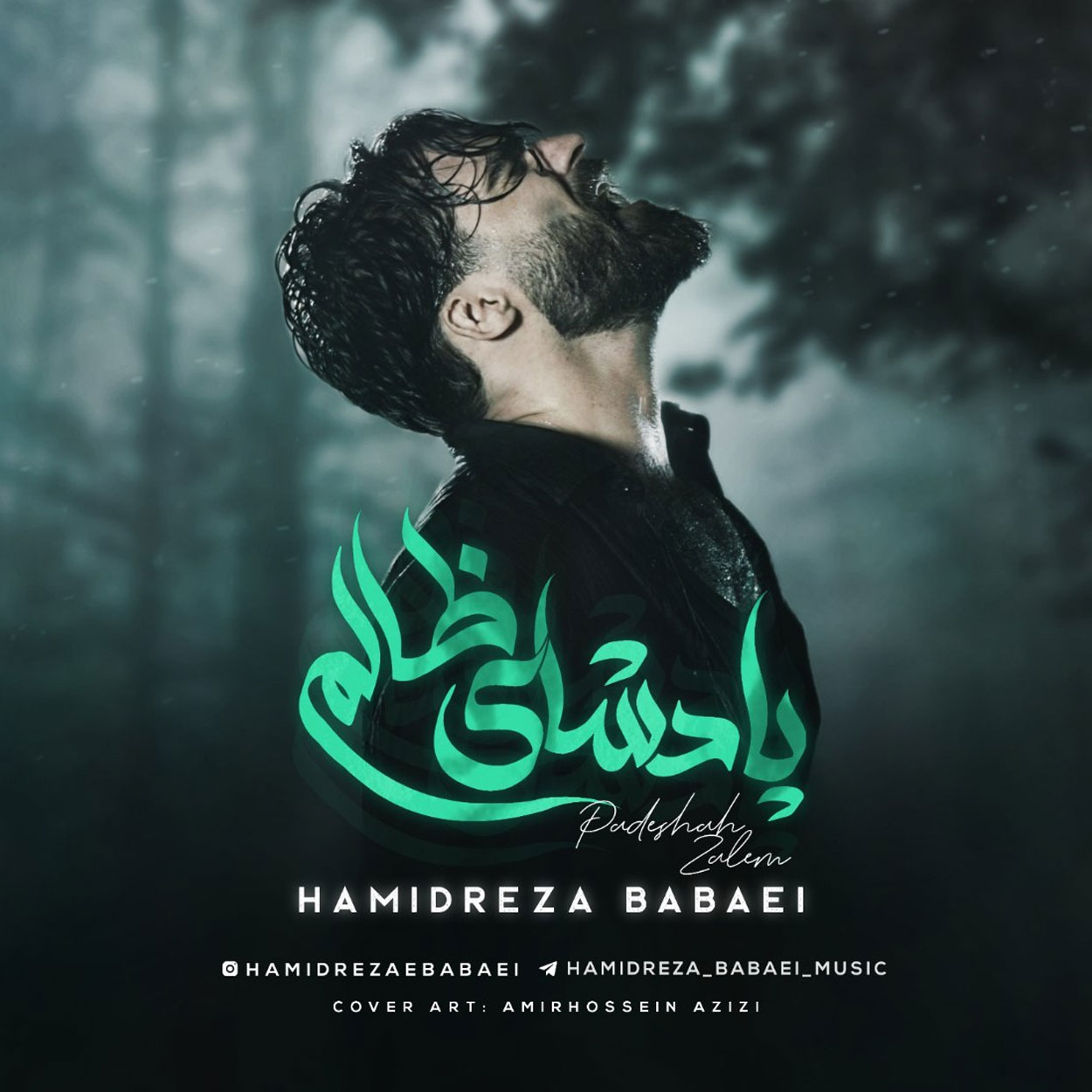 دانلود آهنگ پادشاه ظالم از حمیدرضا بابایی