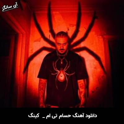 دانلود آهنگ کینگ حسام تی ام