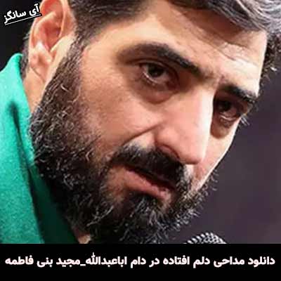 دانلود آهنگ دلم افتاده در دام اباعبدالله مجید بنی فاطمه