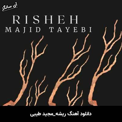 دانلود آهنگ ریشه از مجید طیبی
