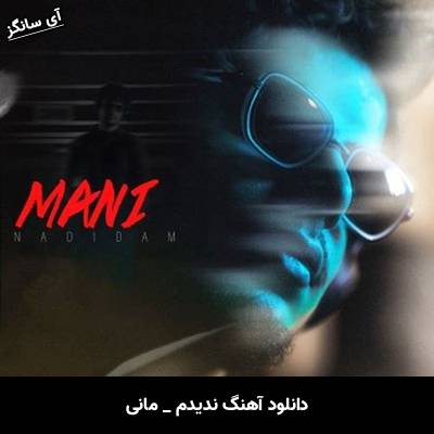دانلود آهنگ ندیدم از مانی