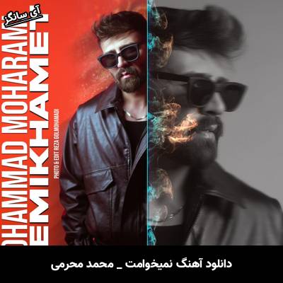دانلود آهنگ نمیخوامت از محمد محرمی