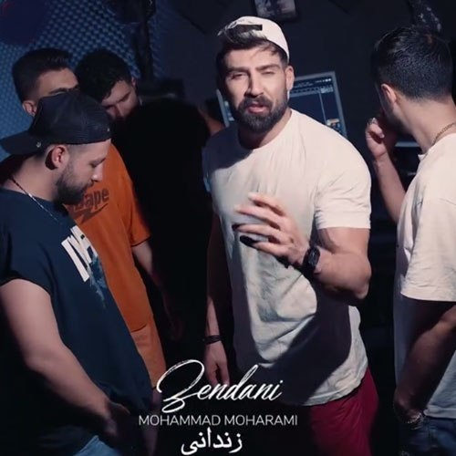 دانلود آهنگ زندانی (این زندون بی ملاقاتی تو ساختی برام) از محمد محرمی