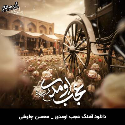 دانلود آهنگ عجب اومدی از محسن چاوشی
