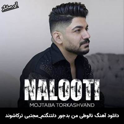 دانلود آهنگ نالوطی  از مجتبی ترکاشوند