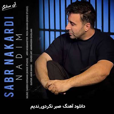 دانلود آهنگ صبر نکردی از ندیم