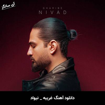 دانلود آهنگ غریبه از نیواد