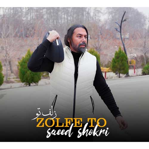دانلود آهنگ زلف تو سعید شکری