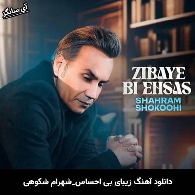 دانلود آهنگ زیبای بی احساس از  شهرام شکوهی