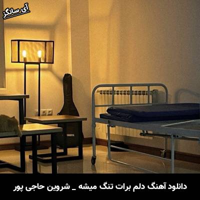دانلود آهنگ دلم برات تنگ میشه از شروین حاجی پور