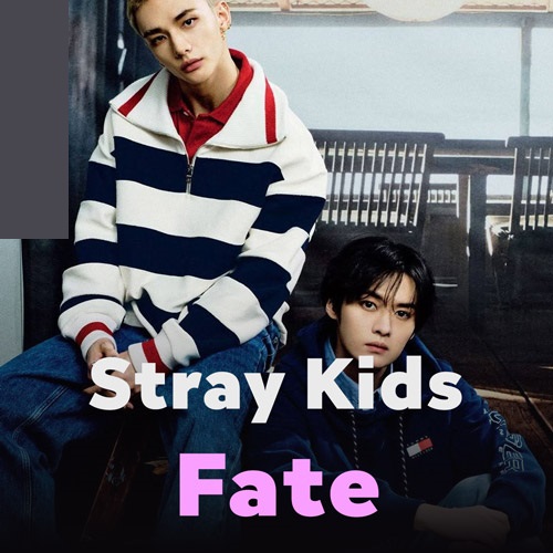 دانلود آهنگ سرنوشت / Fate استری کیدز