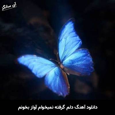 دانلود آهنگ دلم گرفته نمیخوام آواز بخونم Unknown Artist
