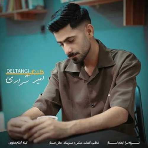 دانلود آهنگ دلتنگی از امیر شراری