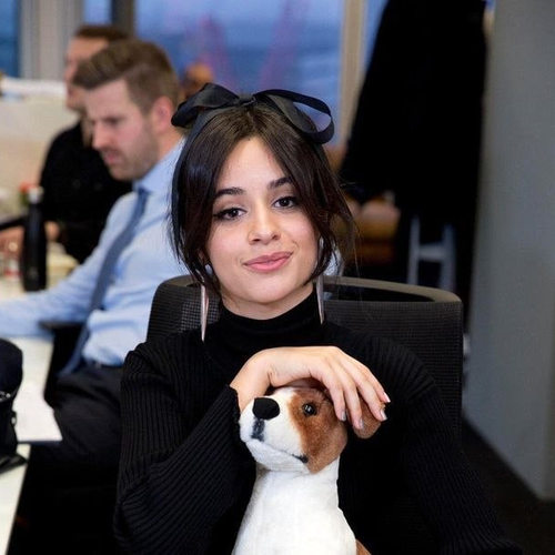 دانلود آهنگ Liar از Camila Cabello