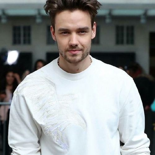 دانلود آهنگ Bedroom Floor از Liam Payne