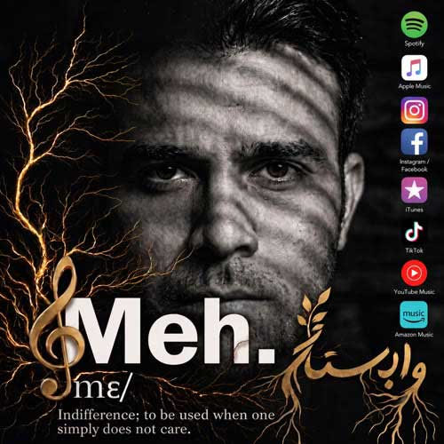 دانلود آهنگ ریشه در وابستگی از مه دی یوسفی